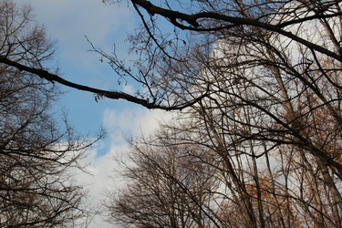 Similar image 5620060