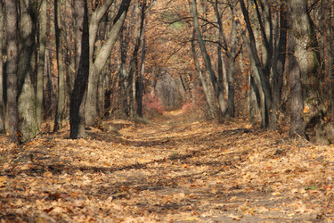 Similar image 5620062