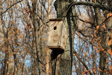 Similar image 5620063