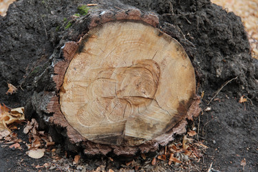 Similar image 5620064