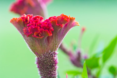 Similar image 5620166