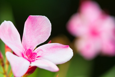 Similar image 5620167