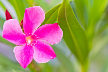 Similar image 5620168