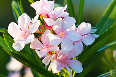 Similar image 5620169