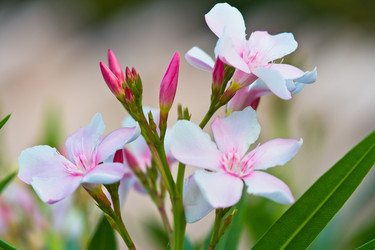 Similar image 5620171