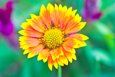 Similar image 5620172