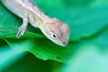 Similar image 5620174