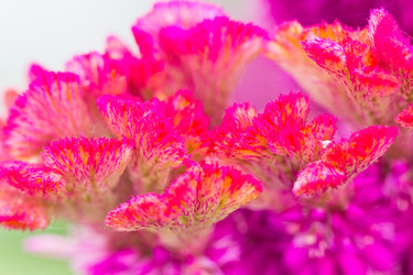 Similar image 5620175