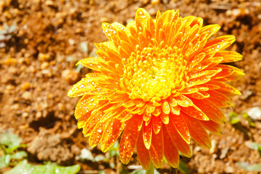 Similar image 5620176