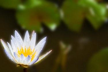 Similar image 5620177