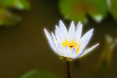 Similar image 5620178