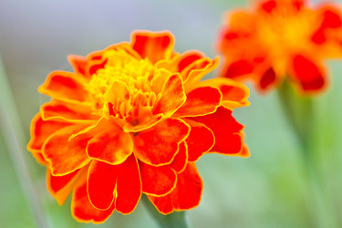 Similar image 5620180