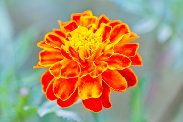 Similar image 5620181