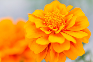 Similar image 5620182