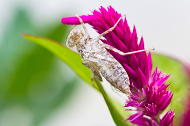 Similar image 5620183