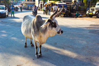 Similar image 5620184