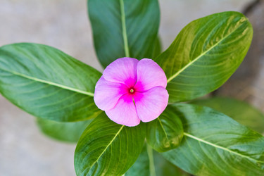 Similar image 5620196