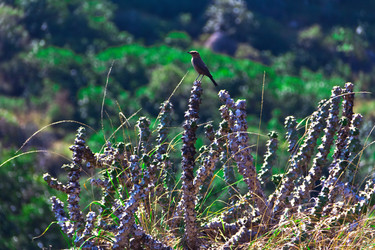 Similar image 5620200