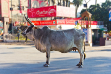 Similar image 5620204