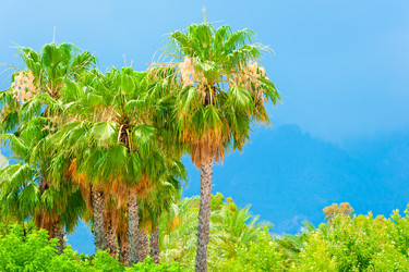 Similar image 5620628