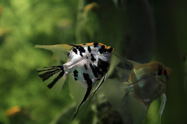 Similar image 5620645