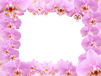 Similar image 5620647