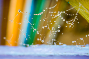 Similar image 5620686