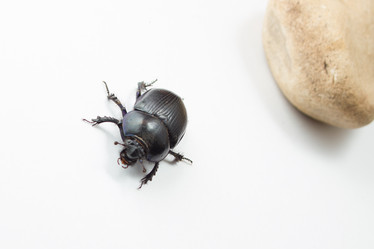 Similar image 5620705