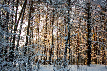 Similar image 5620709