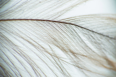 Similar image 5620712