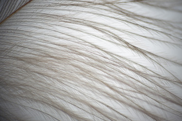 Similar image 5620713