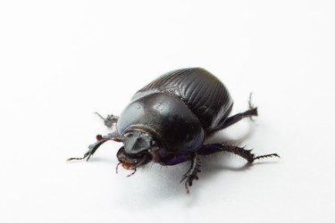 Similar image 5620716