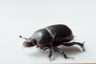 Similar image 5620717