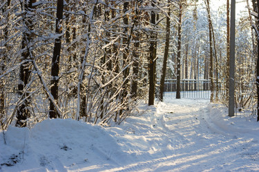 Similar image 5620718