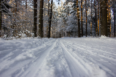 Similar image 5620721