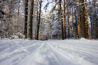 Similar image 5620723