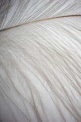 Similar image 5620724