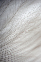 Similar image 5620725