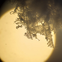 Similar image 5620726