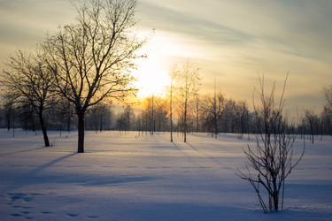 Similar image 5620727