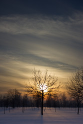 Similar image 5620729