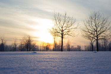 Similar image 5620730