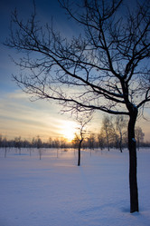 Similar image 5620731