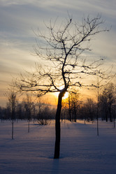 Similar image 5620732