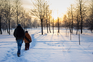 Similar image 5620733