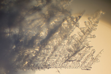 Similar image 5620734