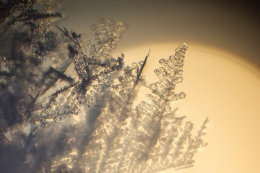 Similar image 5620735