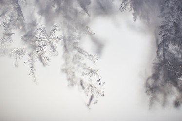 Similar image 5620736