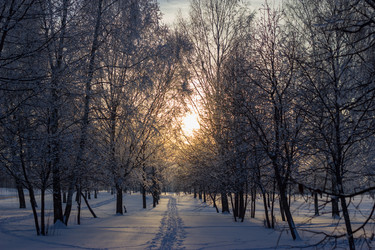 Similar image 5620737