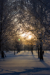 Similar image 5620738